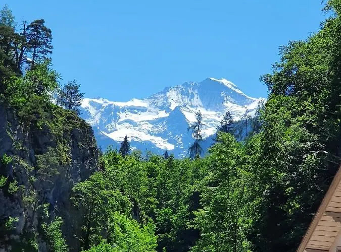 Swiss Mountains 公寓 因特拉肯