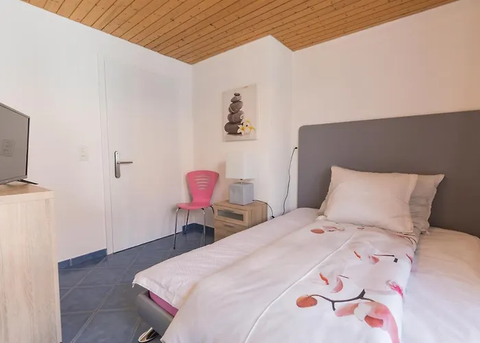 Swiss Mountains 公寓 因特拉肯