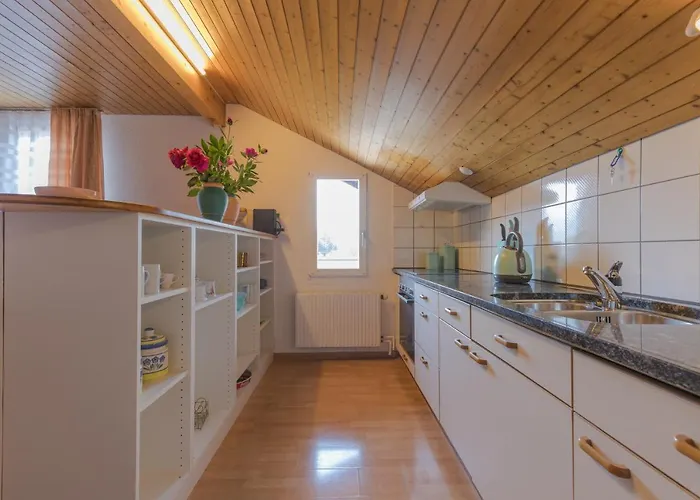 Swiss Mountains * 因特拉肯