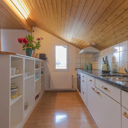 Swiss Mountains * إنترلاكن